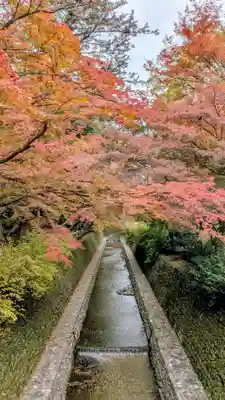 北野天満宮(京都府)