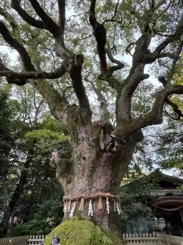 熱田神宮(愛知県)