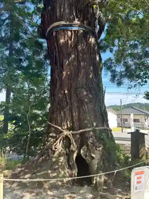 大國魂神社(福島県)
