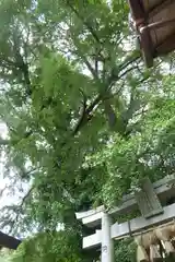 與喜天満神社(奈良県)