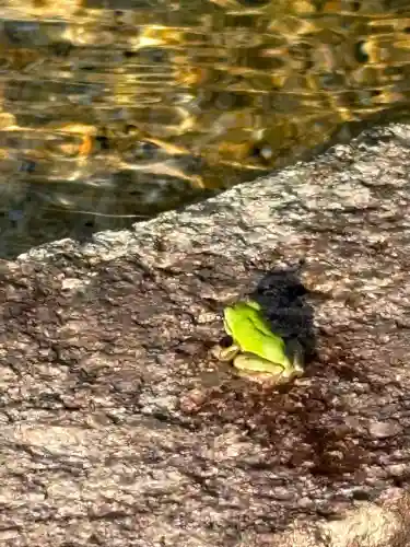 劔霊神社(山口県)