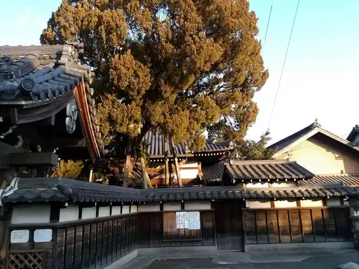 光明寺のその他建物