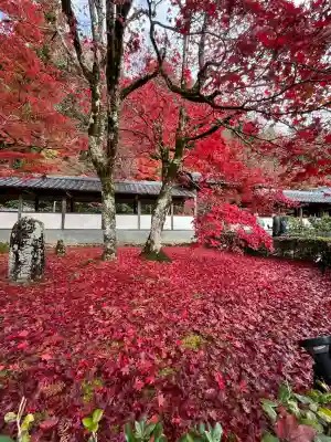 永源寺(滋賀県)