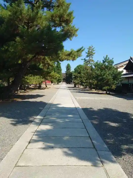 妙心寺(妙心禅寺)(京都府)