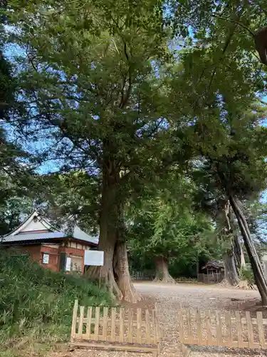 西福寺(千葉県)