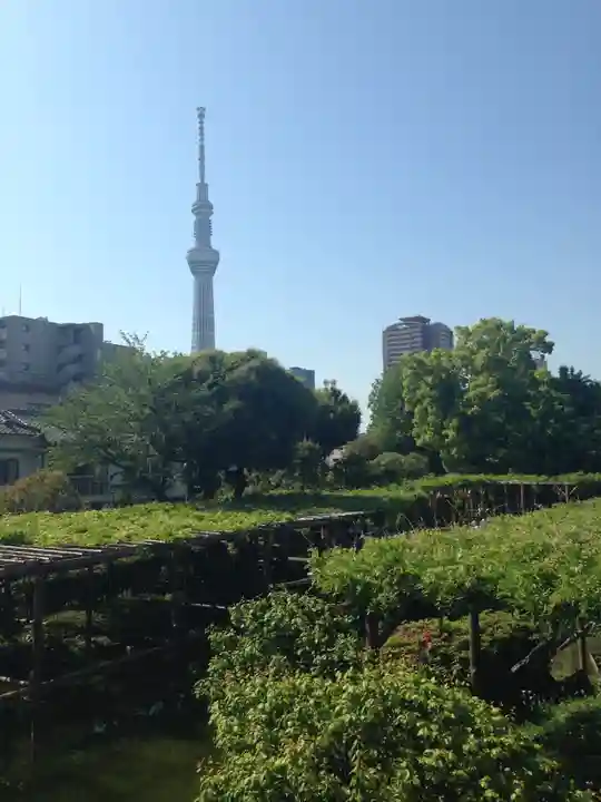 亀戸天神社の景色