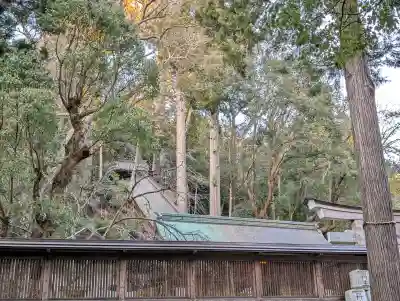 丹生川上神社（下社）の{uncategorized: "未分類", other: "その他", undefined: "問題あり", building: "その他建物", grave: "お墓", sacred_gate: "鳥居", guardian: "狛犬", statue: "像", buddha: "仏像", history: "歴史", nature: "自然", garden: "庭園", animal: "動物", pagoda: "塔", temizu: "手水舎", mountain_gate: "山門・神門", sanctuary: "本殿・本堂", subordinate: "末社・摂社", art: "芸術", scenery: "景色", jizo: "地蔵", ema: "絵馬", goshuin: "御朱印", omikuji: "おみくじ", items: "授与品その他", amulet: "お守り", goshuincho: "御朱印帳", eats: "食事", festival: "お祭り", votive_dance: "神楽", shichigosan: "七五三参", wedding: "結婚式", experience: "体験その他", initially: "初詣", around: "周辺", anti_infection: "感染症対策"}