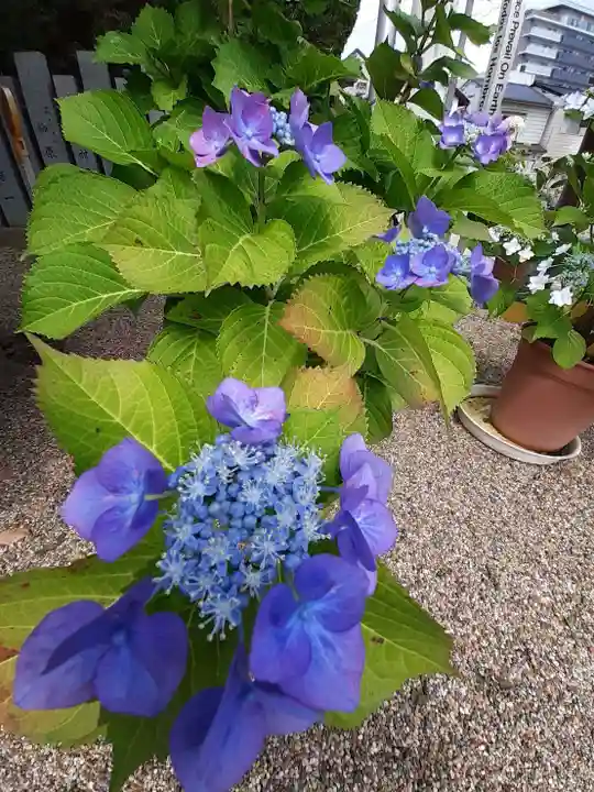 巽神社(大阪府)