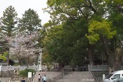 大麻比古神社(徳島県)