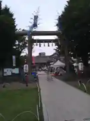 浅草神社の鳥居