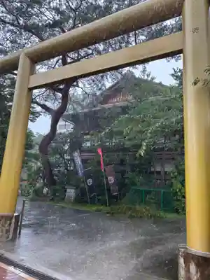 高知大神宮(高知県)