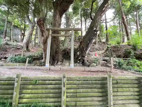 常陸國總社宮(茨城県)