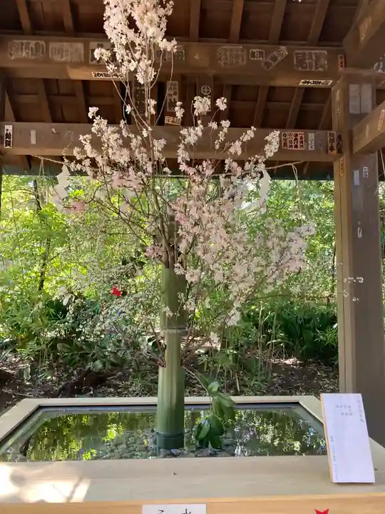 赤坂氷川神社の手水舎
