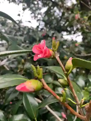 城南宮(京都府)