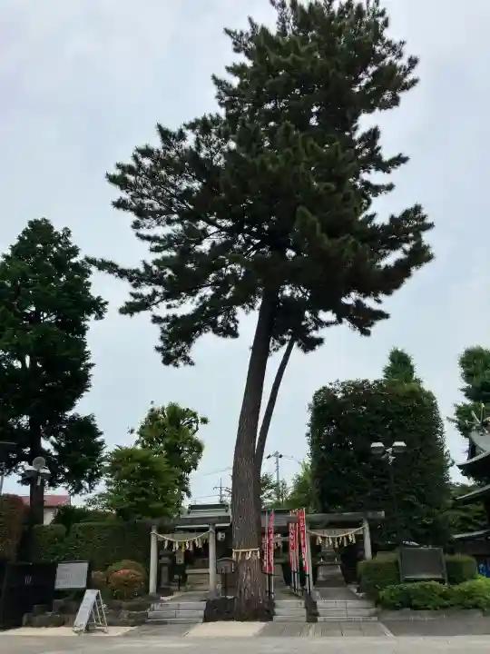 中野沼袋氷川神社(東京都)