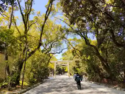 熱田神宮の鳥居