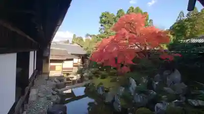 醍醐寺の{uncategorized: "未分類", other: "その他", undefined: "問題あり", building: "その他建物", grave: "お墓", sacred_gate: "鳥居", guardian: "狛犬", statue: "像", buddha: "仏像", history: "歴史", nature: "自然", garden: "庭園", animal: "動物", pagoda: "塔", temizu: "手水舎", mountain_gate: "山門・神門", sanctuary: "本殿・本堂", subordinate: "末社・摂社", art: "芸術", scenery: "景色", jizo: "地蔵", ema: "絵馬", goshuin: "御朱印", omikuji: "おみくじ", items: "授与品その他", amulet: "お守り", goshuincho: "御朱印帳", eats: "食事", festival: "お祭り", votive_dance: "神楽", shichigosan: "七五三参", wedding: "結婚式", experience: "体験その他", initially: "初詣", around: "周辺", anti_infection: "感染症対策"}