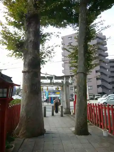 川越八幡宮(埼玉県)