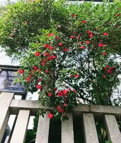 金王八幡宮の自然