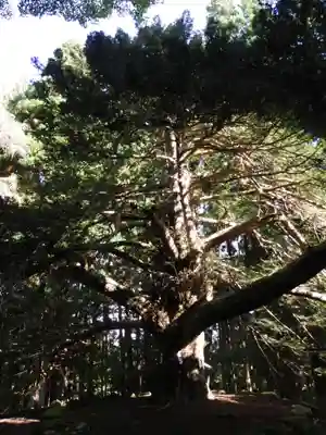 真山神社(秋田県)