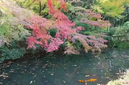 大石神社の庭園