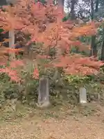 菅東山出世稲荷神社の自然