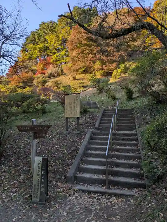 宝登山神社(埼玉県)