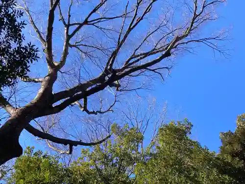 代々木八幡宮の景色