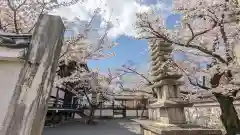 妙顯寺（妙顕寺）(京都府)