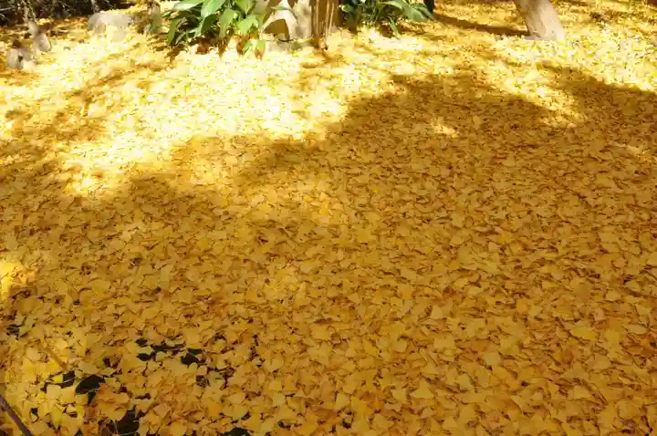 戸部杉山神社(神奈川県)