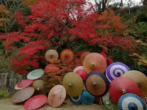 岡寺（龍蓋寺）(奈良県)