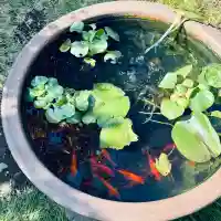 西雲寺(埼玉県)