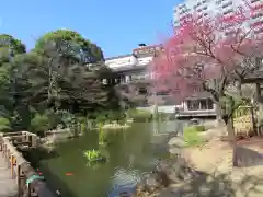 東郷神社の庭園