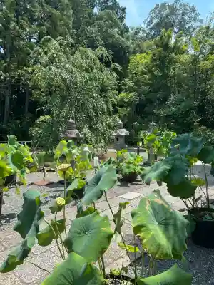 頼光寺(兵庫県)
