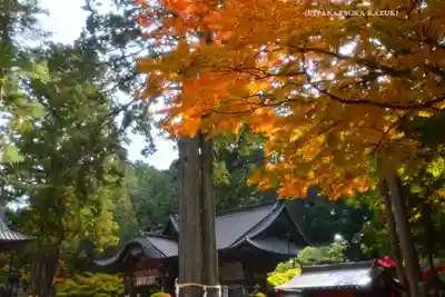 北口本宮冨士浅間神社(山梨県)