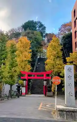 愛宕神社の鳥居