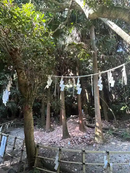 青島神社(青島神宮)(宮崎県)
