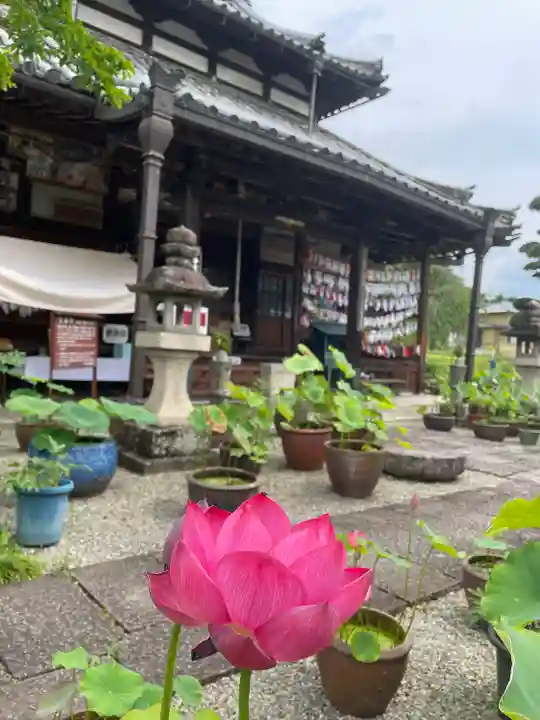 生蓮寺(奈良県)