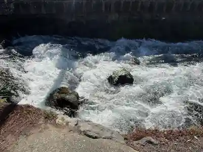 富士山本宮浅間大社(静岡県)