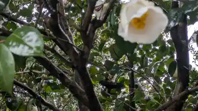 城南宮(京都府)