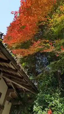 山科聖天 雙林院(双林院) (京都府)