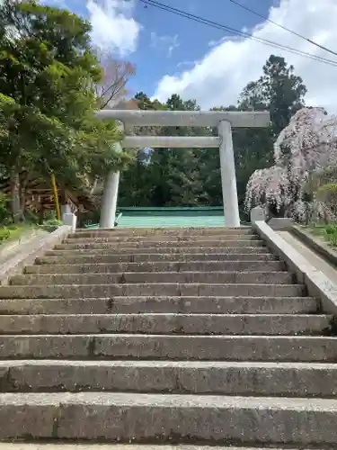 八坂神社の鳥居