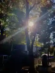 穏田神社(東京都)