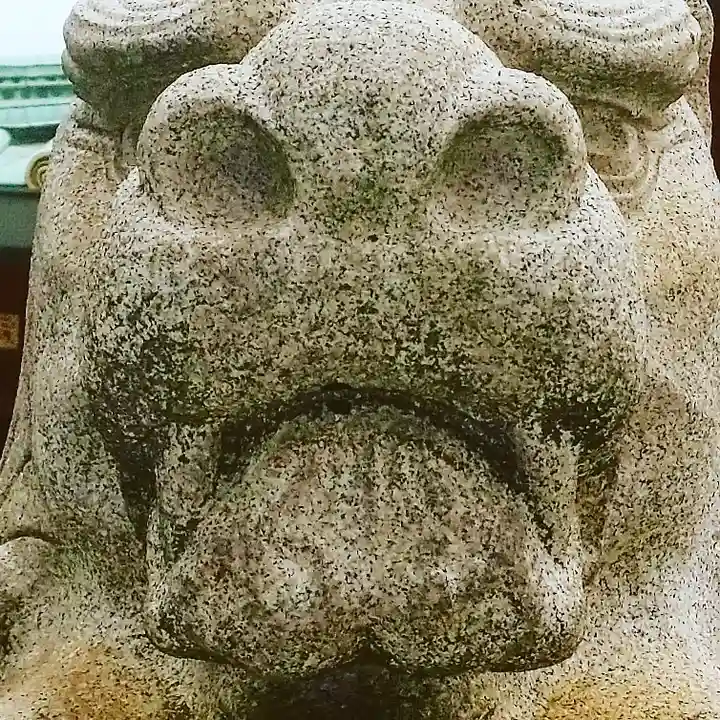 神田神社(神田明神)の狛犬
