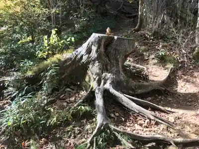 石鎚神社頂上社(愛媛県)