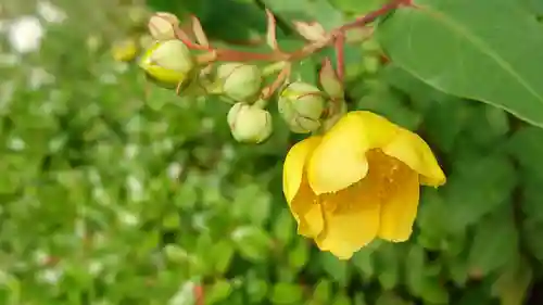 妙力寺の庭園