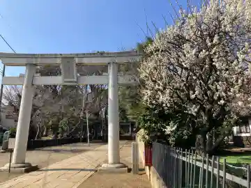 碑文谷八幡宮の{uncategorized: "未分類", other: "その他", undefined: "問題あり", building: "その他建物", grave: "お墓", sacred_gate: "鳥居", guardian: "狛犬", statue: "像", buddha: "仏像", history: "歴史", nature: "自然", garden: "庭園", animal: "動物", pagoda: "塔", temizu: "手水舎", mountain_gate: "山門・神門", sanctuary: "本殿・本堂", subordinate: "末社・摂社", art: "芸術", scenery: "景色", jizo: "地蔵", ema: "絵馬", goshuin: "御朱印", omikuji: "おみくじ", items: "授与品その他", amulet: "お守り", goshuincho: "御朱印帳", eats: "食事", festival: "お祭り", votive_dance: "神楽", shichigosan: "七五三参", wedding: "結婚式", experience: "体験その他", initially: "初詣", around: "周辺", anti_infection: "感染症対策"}