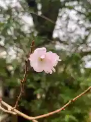 今市瀧尾神社(栃木県)