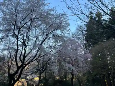 大宮温泉神社(栃木県)