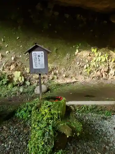 八女津媛神社(福岡県)